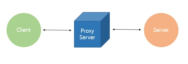Proxy Server