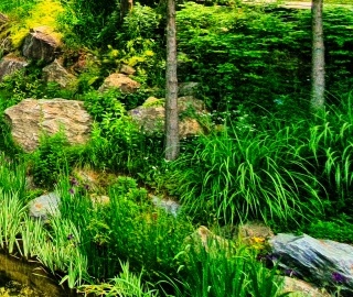 화담숲 예약 방법부터 운영시간까지! 방문 전 꼭 알아야 할 정보