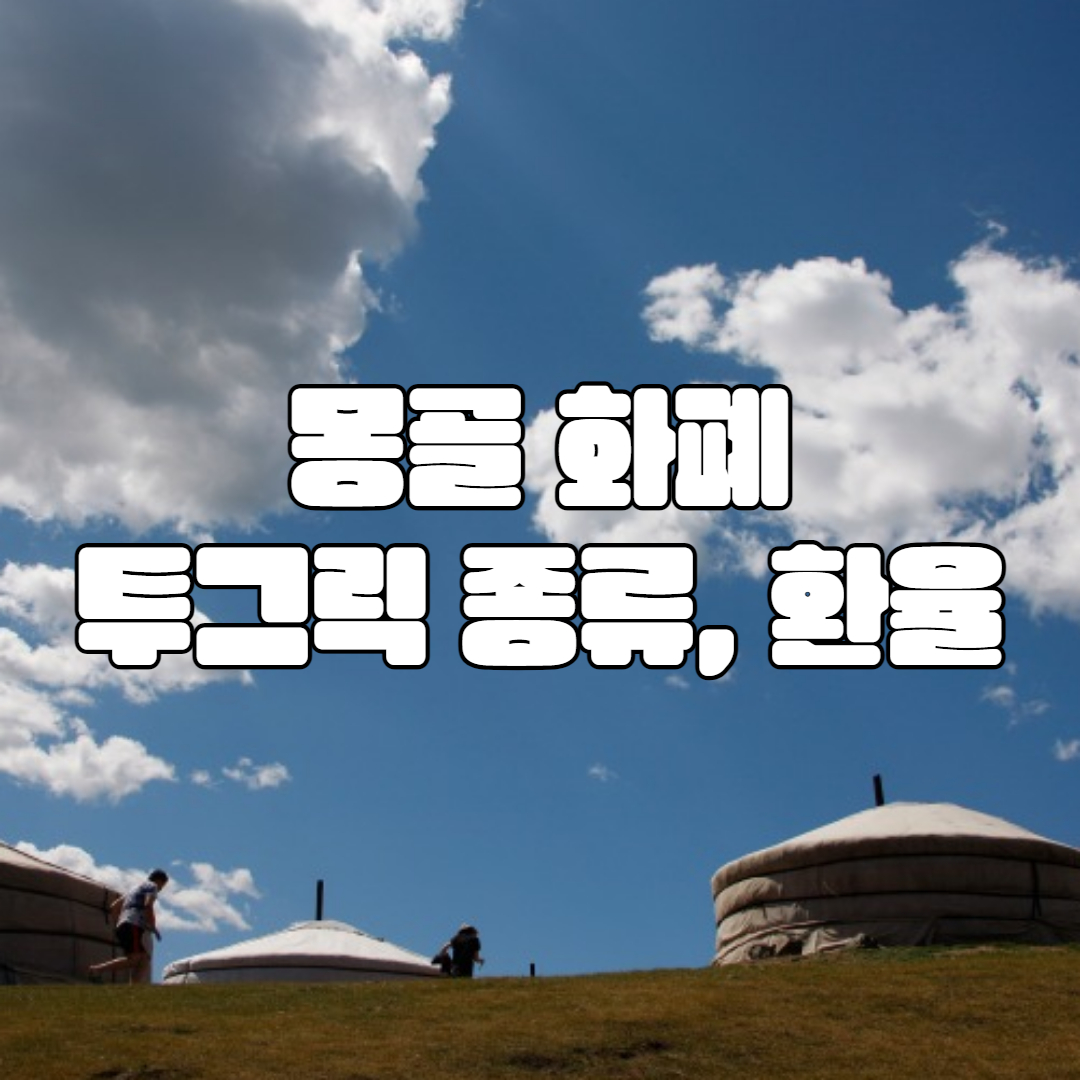 몽골 돈 투그릭 종류와 환율