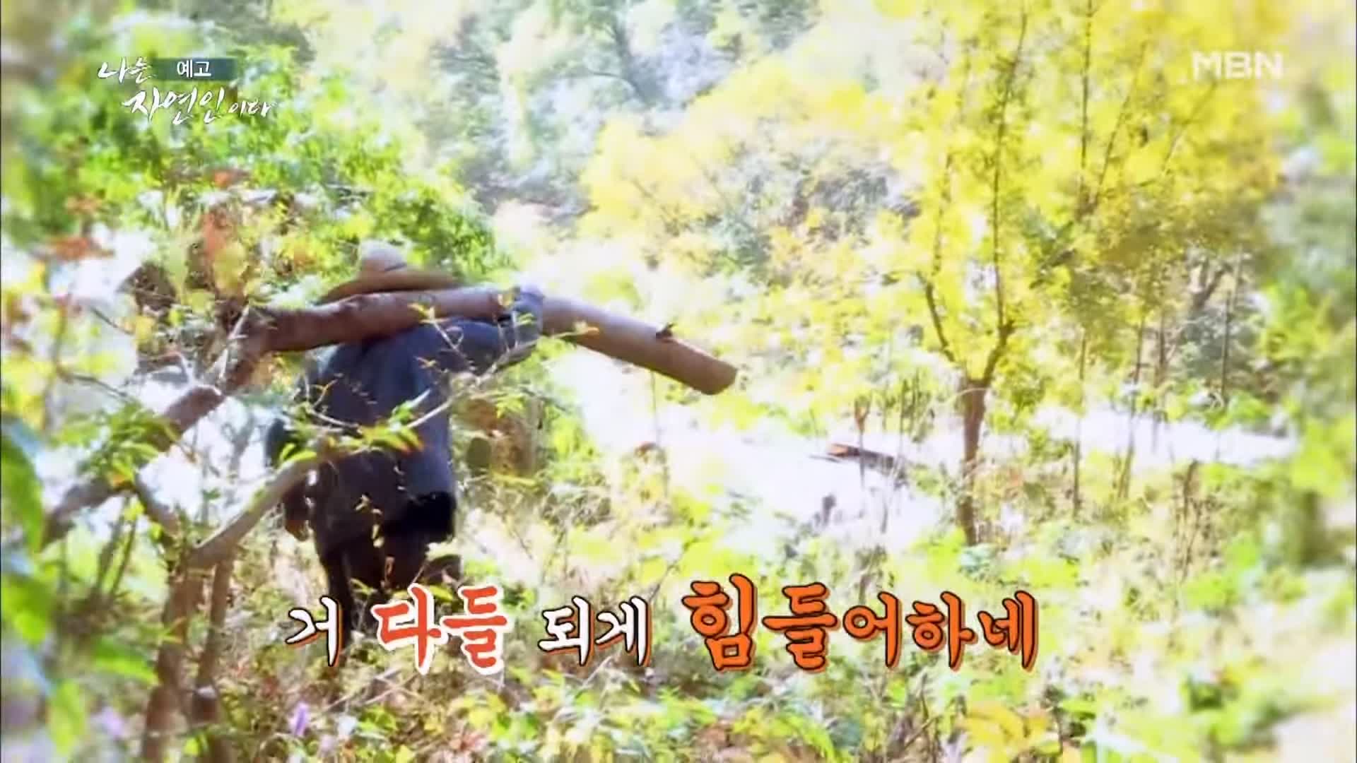 이승윤 윤택 나는 자연인이다 내가 산에 사는 재미 하수오 제피 담금주 골쇄보 자연인 배정수 소개 및 출연 529회 다시보기