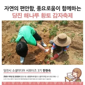 당진해나루황토고구마 홍보판촉행사 축제 장소로 안내_9