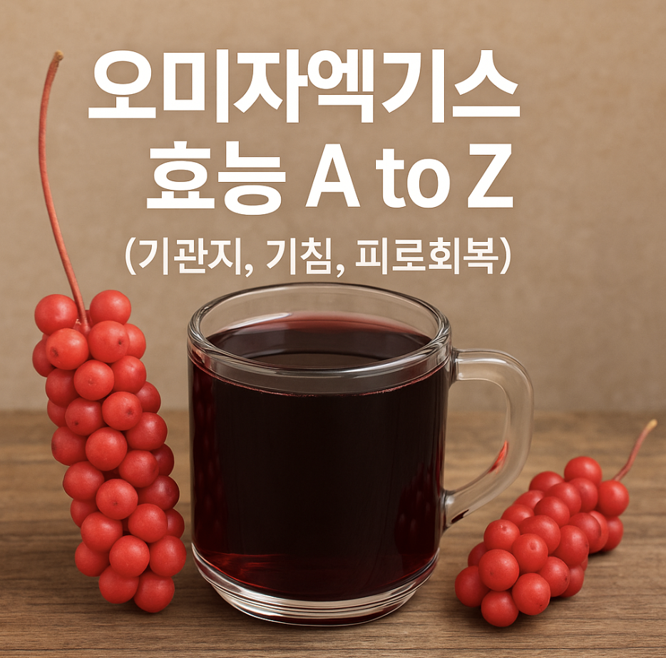 오미자엑기스 효능 A to Z (기관지, 기침, 피로회복)