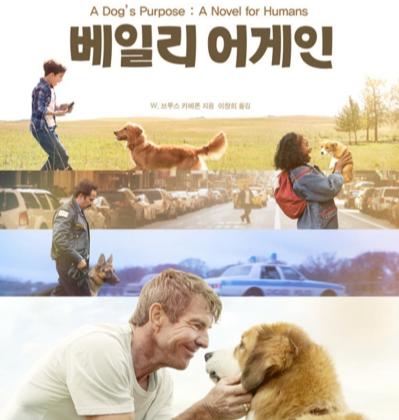 전생의 기억을 간직한 채 계속 환생하는 사랑스러운 개, 베일리가 펼치는 힐링 스토리