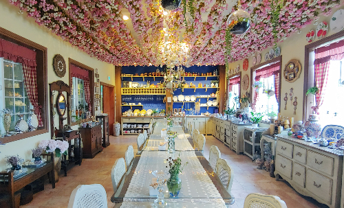 포천허브아일랜드핑크뮬리축제