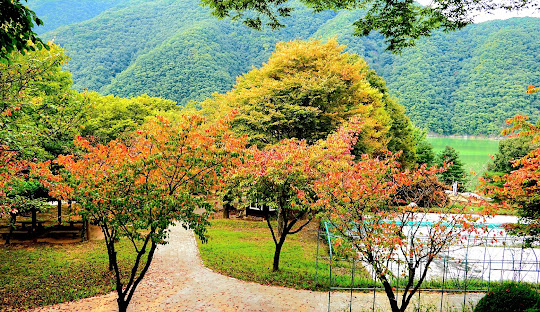 옥천6경-장계관광지-6