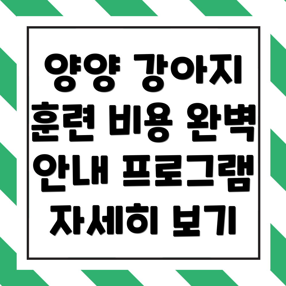 강아지 훈련소 비용