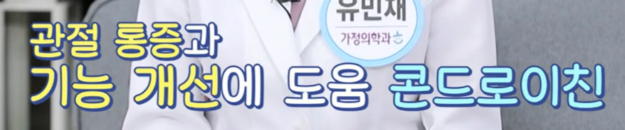 콘드로이친 효능