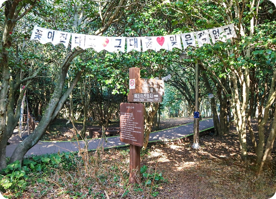 오동동 전경 사진