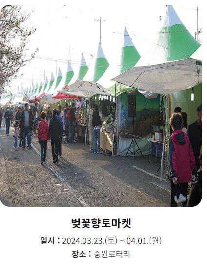 진해벚꽃축제