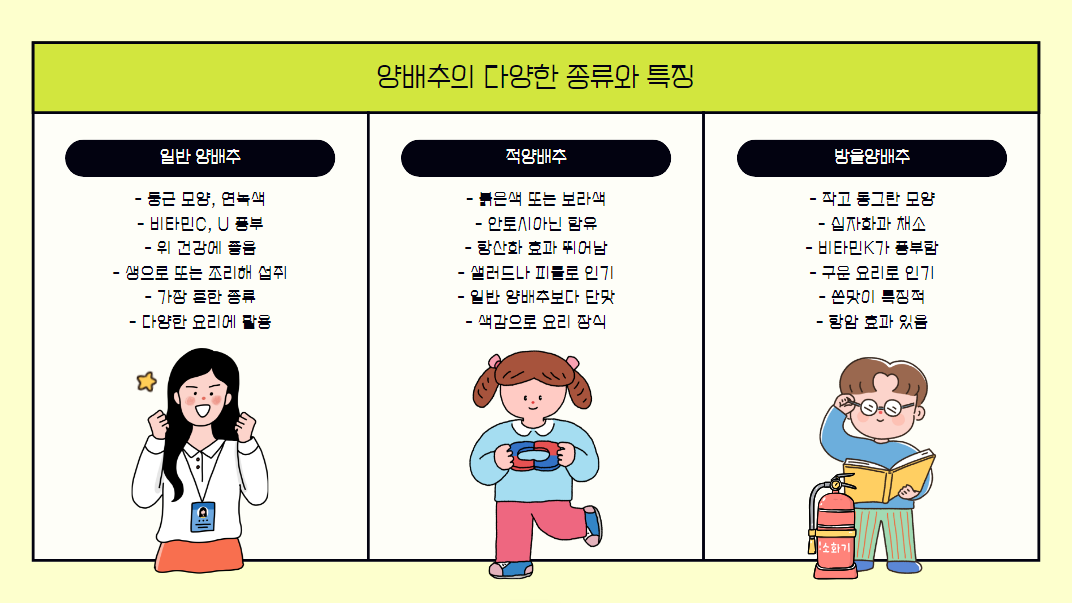 양배추 효능과 다양한 종류와 특징