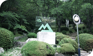 2023년 벚꽃축제 경남 진해군항제 지역축제 정보_벚꽃개화시기, 벚꽃 만개시기, 벚꽃군락지, 여의도 윤중로, 이월드 블라썸 피크닉.