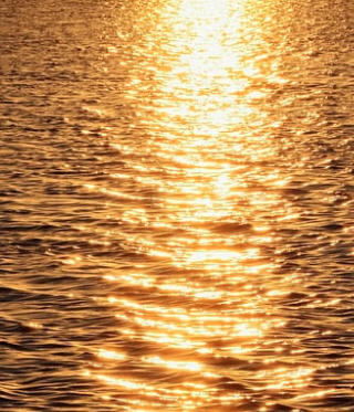 용 나오는 꿈 해몽 및 의미별 해석은? (청룡,백룡,황룡,적룡,검은용)