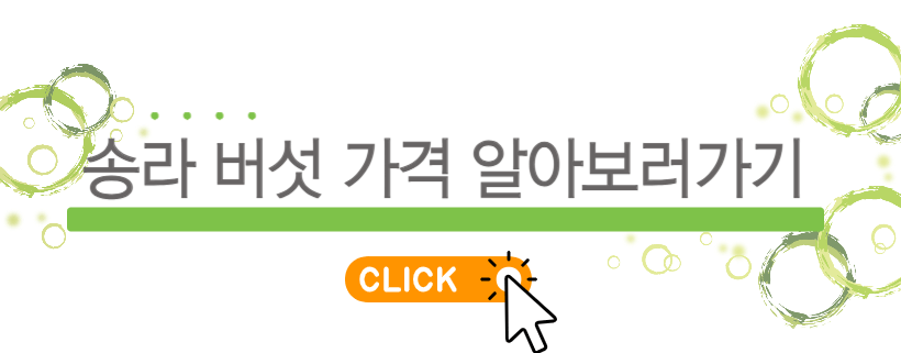 송라버섯 가격비교