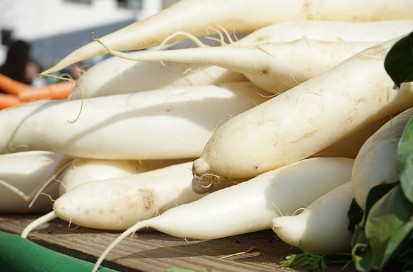 기관지 건강에 좋은 무