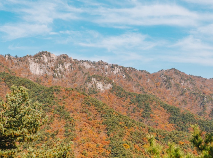 팔공산
