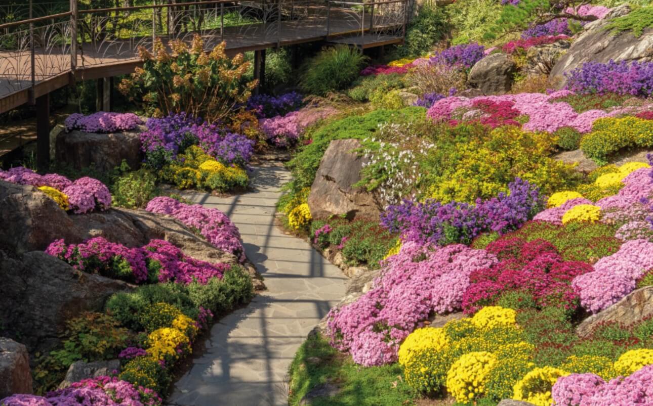 화담숲 단풍 절정시기