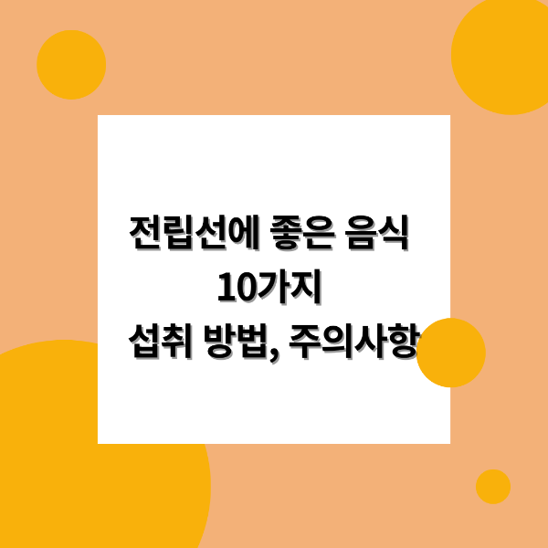 전립선에 좋은 음식 10가지 섭취방법 주의사항