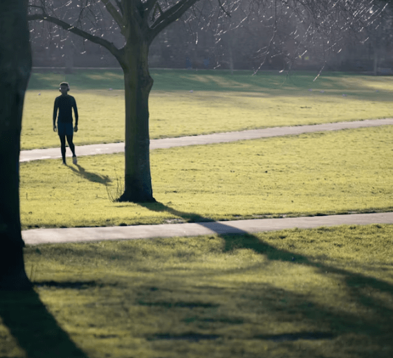 면역력 &amp;활력 UP 습관: 잔병치레 끝! 필수 가이드