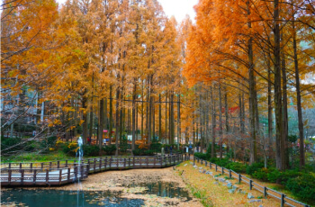 장태산 자연휴양림5