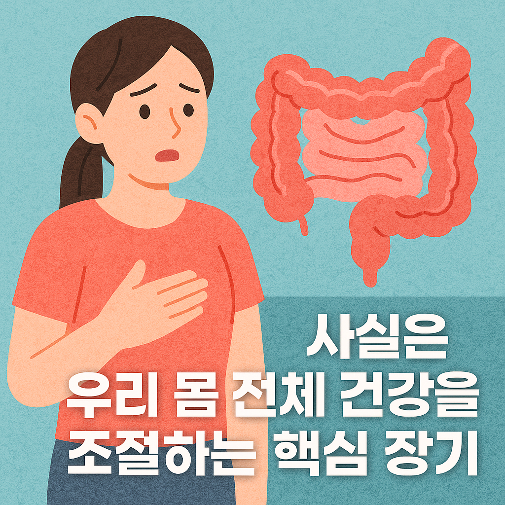소화기관으로만 생각했던 ‘장’이 사실은 우리 몸 전체 건강을 조절하는 핵심 장기라는 사실