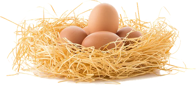 알PDF파일 무료 다운로드에 대한 설치가이드_6