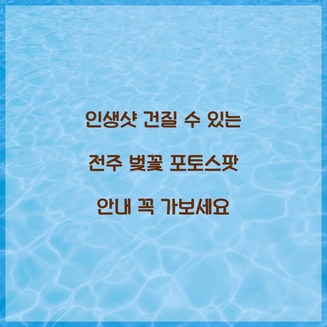 인생샷 건질 수 있는 전주 벚꽃 포토스팟