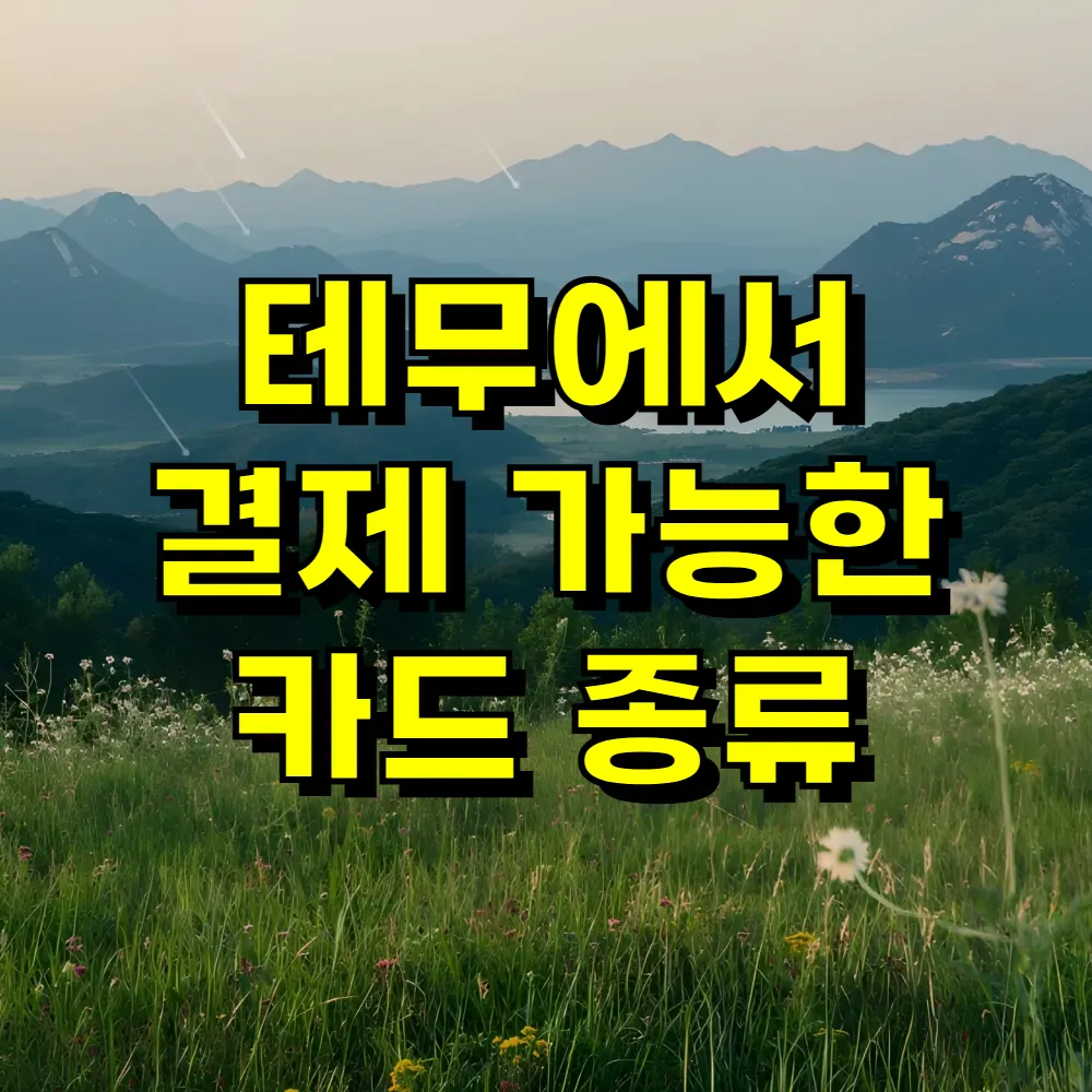 테무에서 결제 가능한 카드 종류