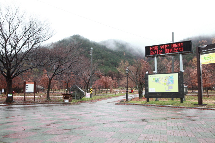 설악동자동차야영장