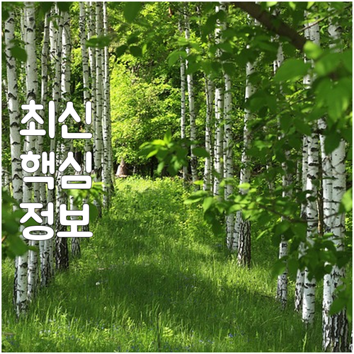 가산동 대형폐기물 이제 스마트하게 처..