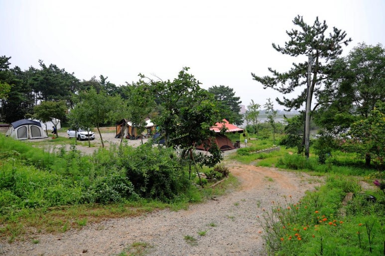 안산 대부도 인생 캠핑장, 추천 캠핑장