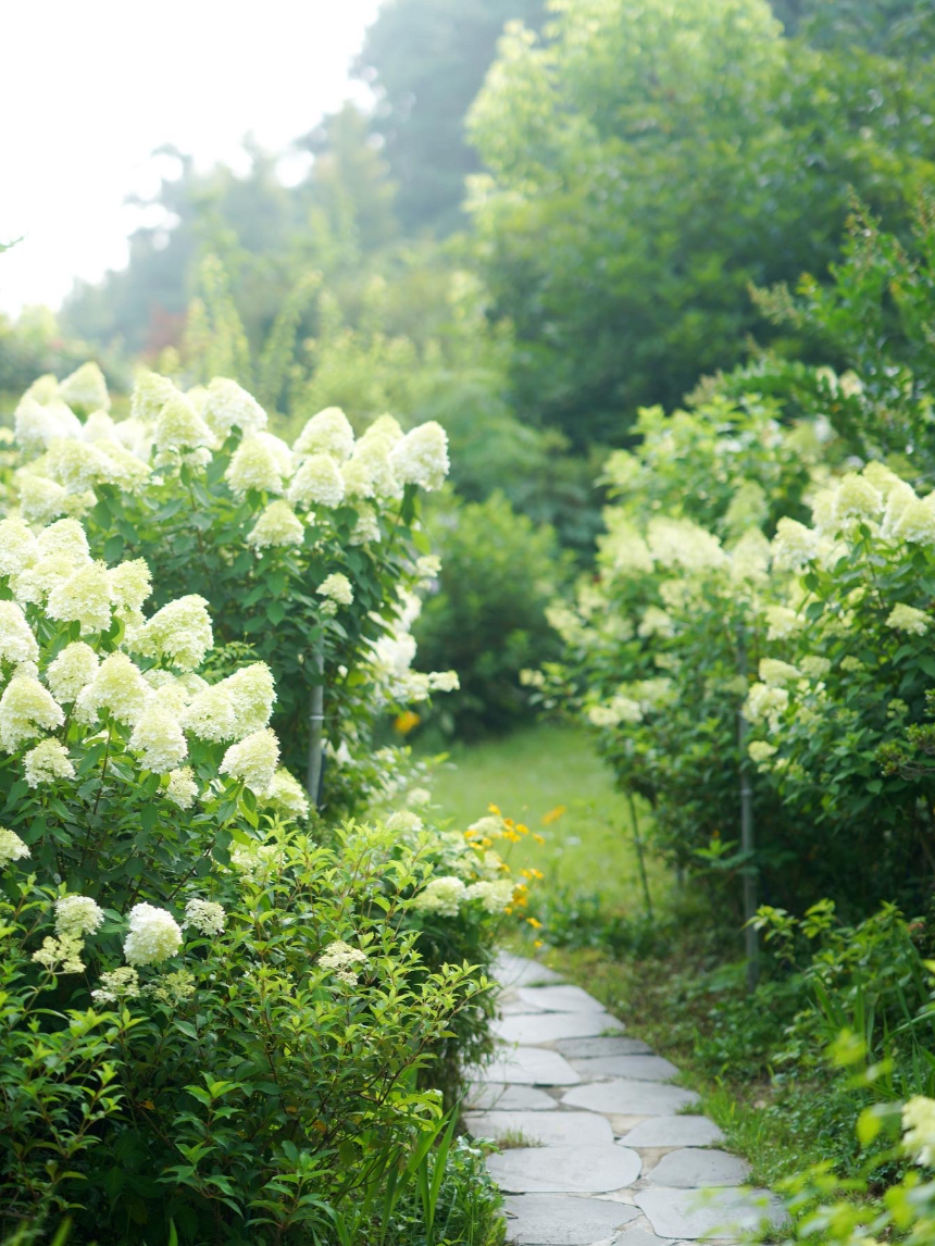 특색있고 아름다운 민간 정원 30선 추천 여행 - 22. 담양 죽화경