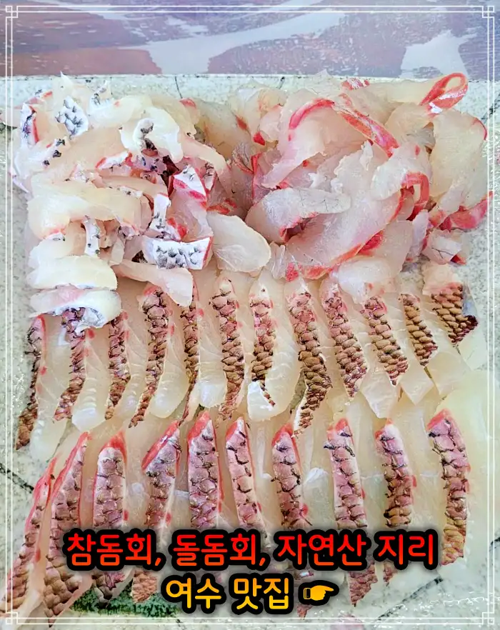 전남 여수 맛집 참돔회, 돌돔회