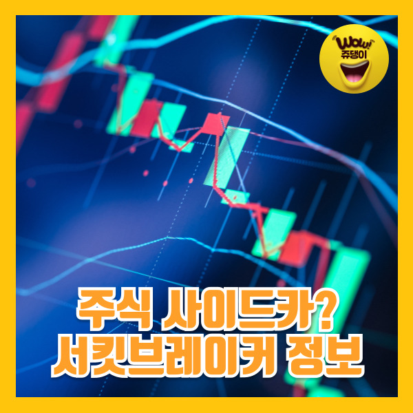 주식 사이드카 서킷브레이커 발동 뜻 현상황 정보