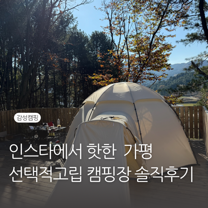 선택적고립 캠핑장 솔직 후기