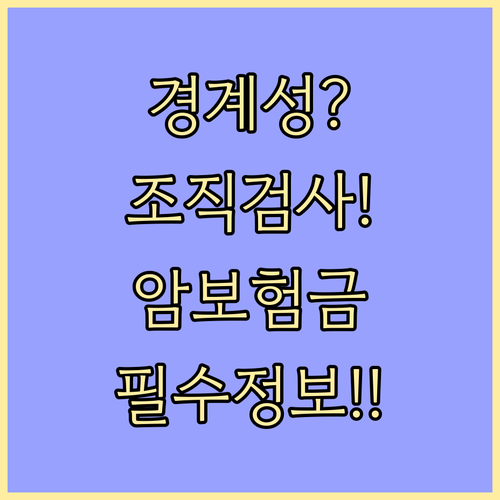 제자리암 경계성종양 암보험금 청구 조..