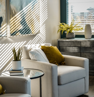 집에 식물이 필요한 이유