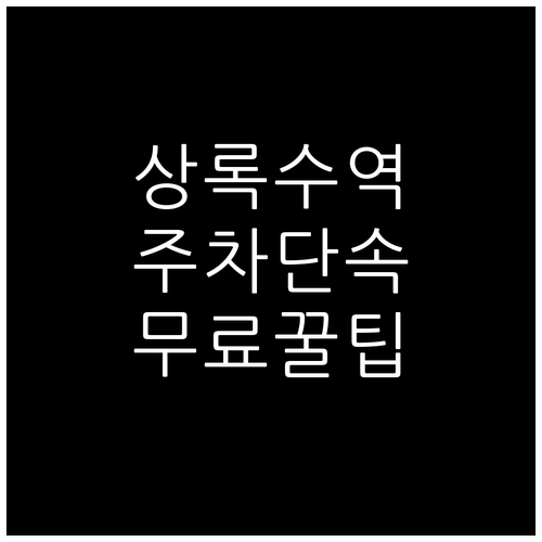 상록수역 주차 단속 구간과 시간대별 ..