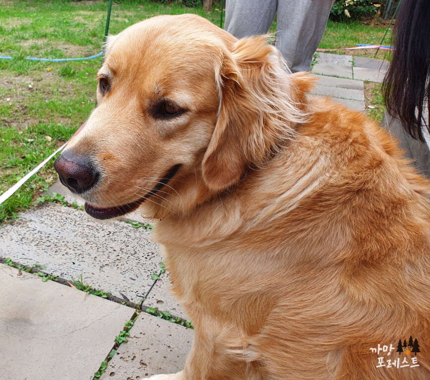 오소소 게스트하우스 소소