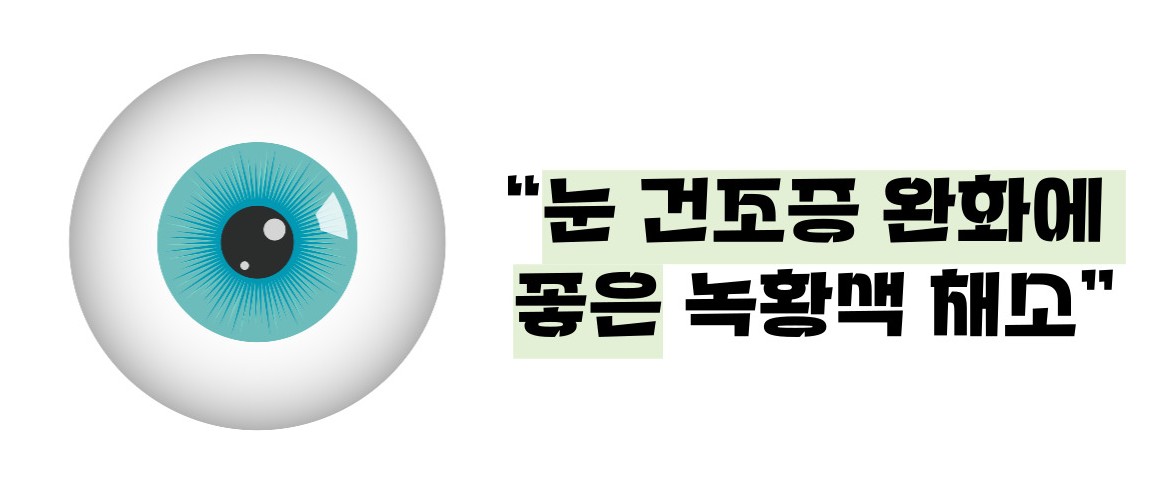 케일 효능