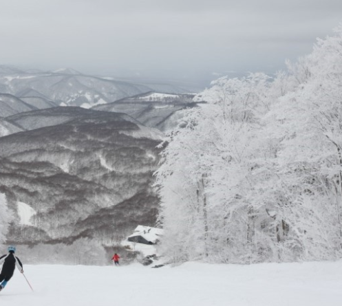 국내스키장-추천-BEST5