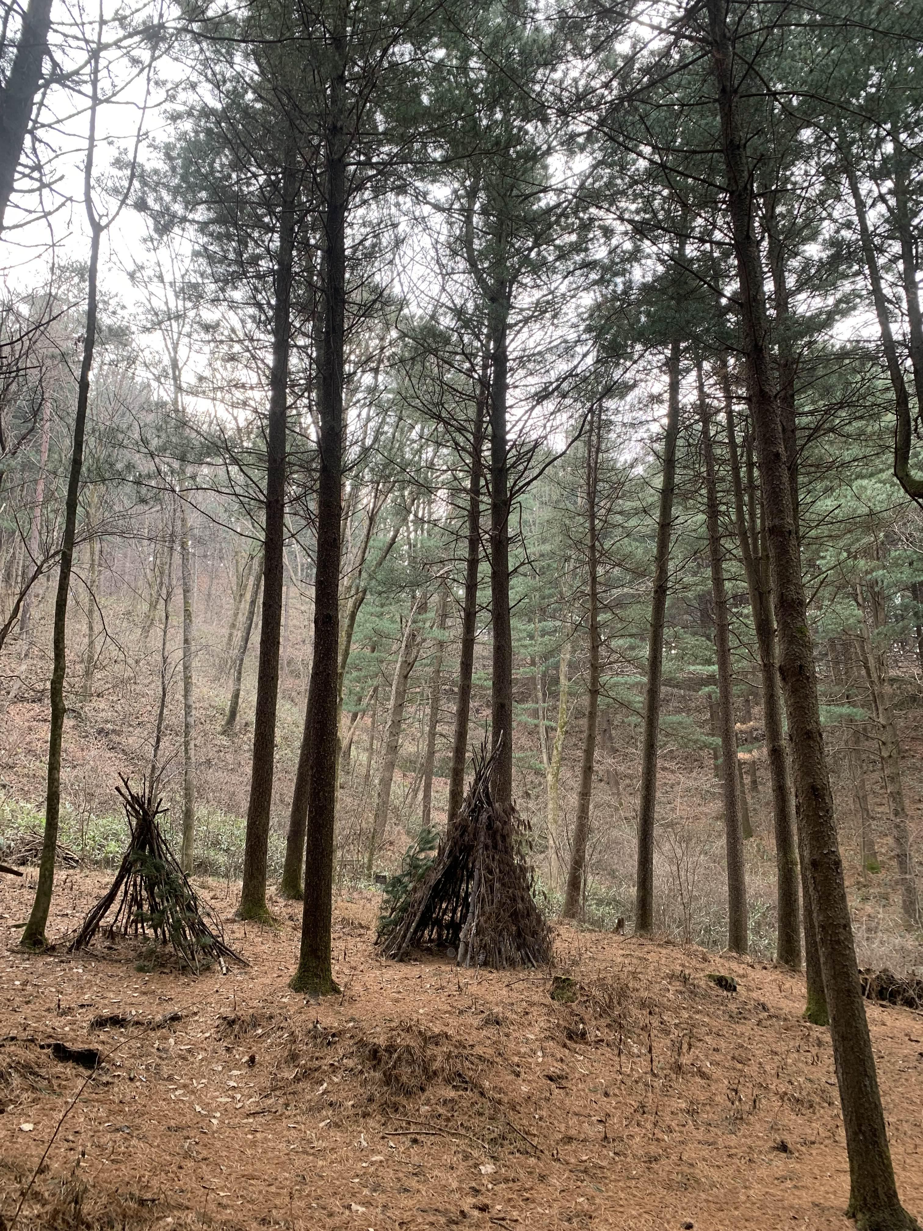 횡성 여행 청태산 자연휴양림