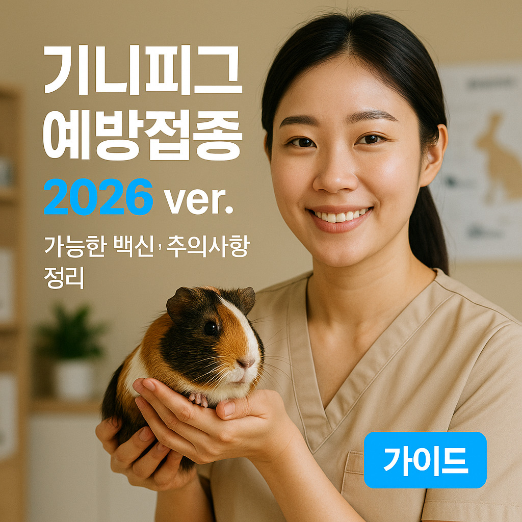 기니피그 예방접종 2026 ver. ｜ 가능한 백신&middot;주의사항 정리
