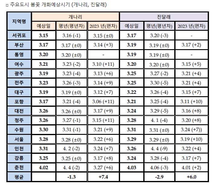 2024년 벚꽃 개화시기 만개시기 꽃세권 꽃놀이 꽃구경 (개나리, 진달래 개화시기)
