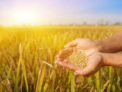 농지연금 가입조건 수령액 계산 총정리