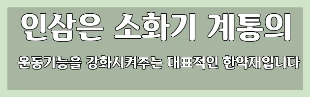 인삼은 소화기 계통의 운동기능을 강화시켜주는 대표적인 한약재입니다