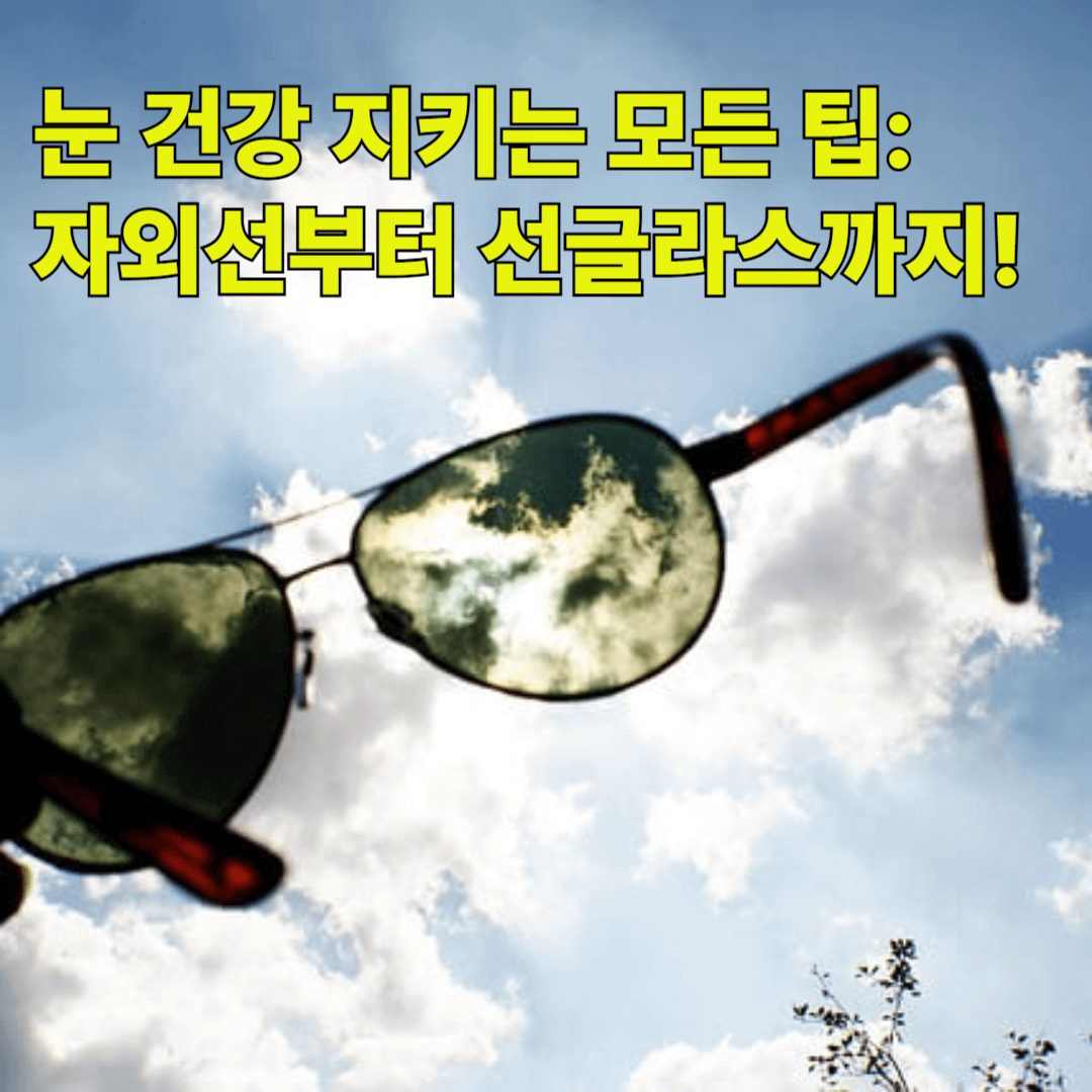 눈 건강 지키는 모든 팁 - 관련 이미지