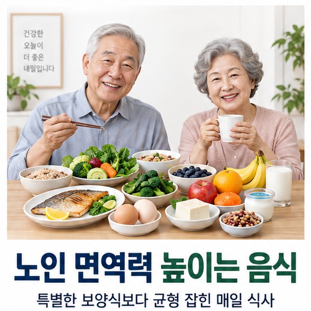 노인 면역력 높이는 음식과 생선 달걀 두부 채소 과일을 균형 있게 보여주는 교육용 이미지