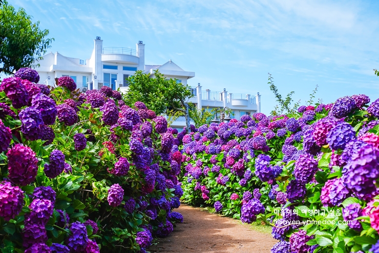 제주도 가볼만한곳 10곳