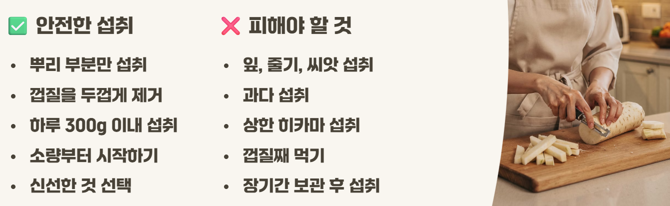 히카마 효능 부작용