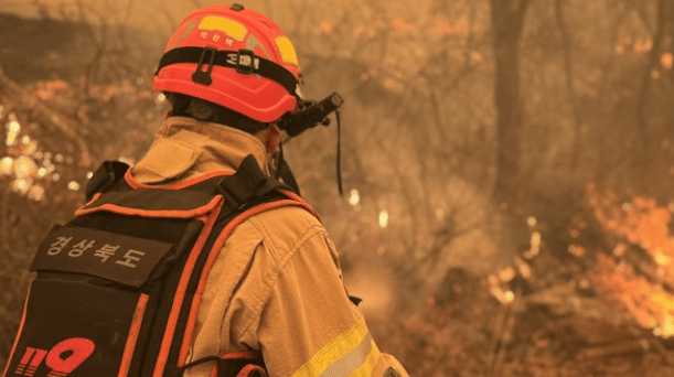 산불때 소방관의 대처